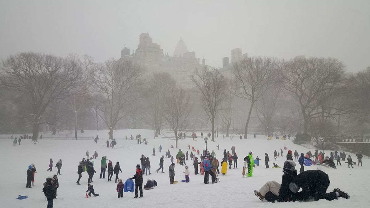 Foto de archivo: Central Park (EEUU) nevado