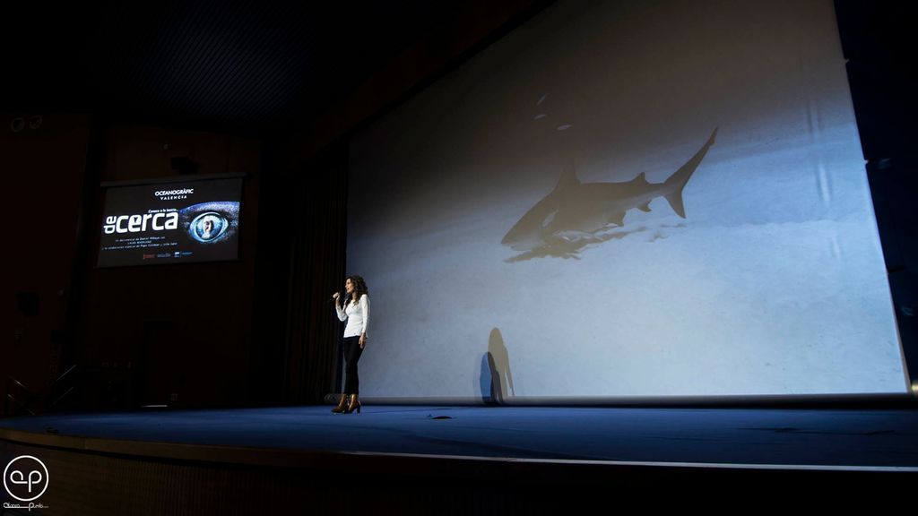 El Oceanográfico… De cerca