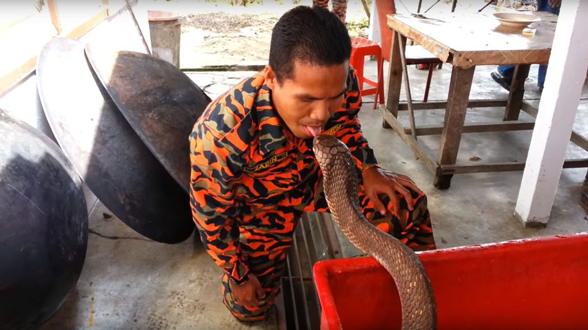 El conocido como 'encantador de serpientes tailandés' muere por la mordedura de una cobra