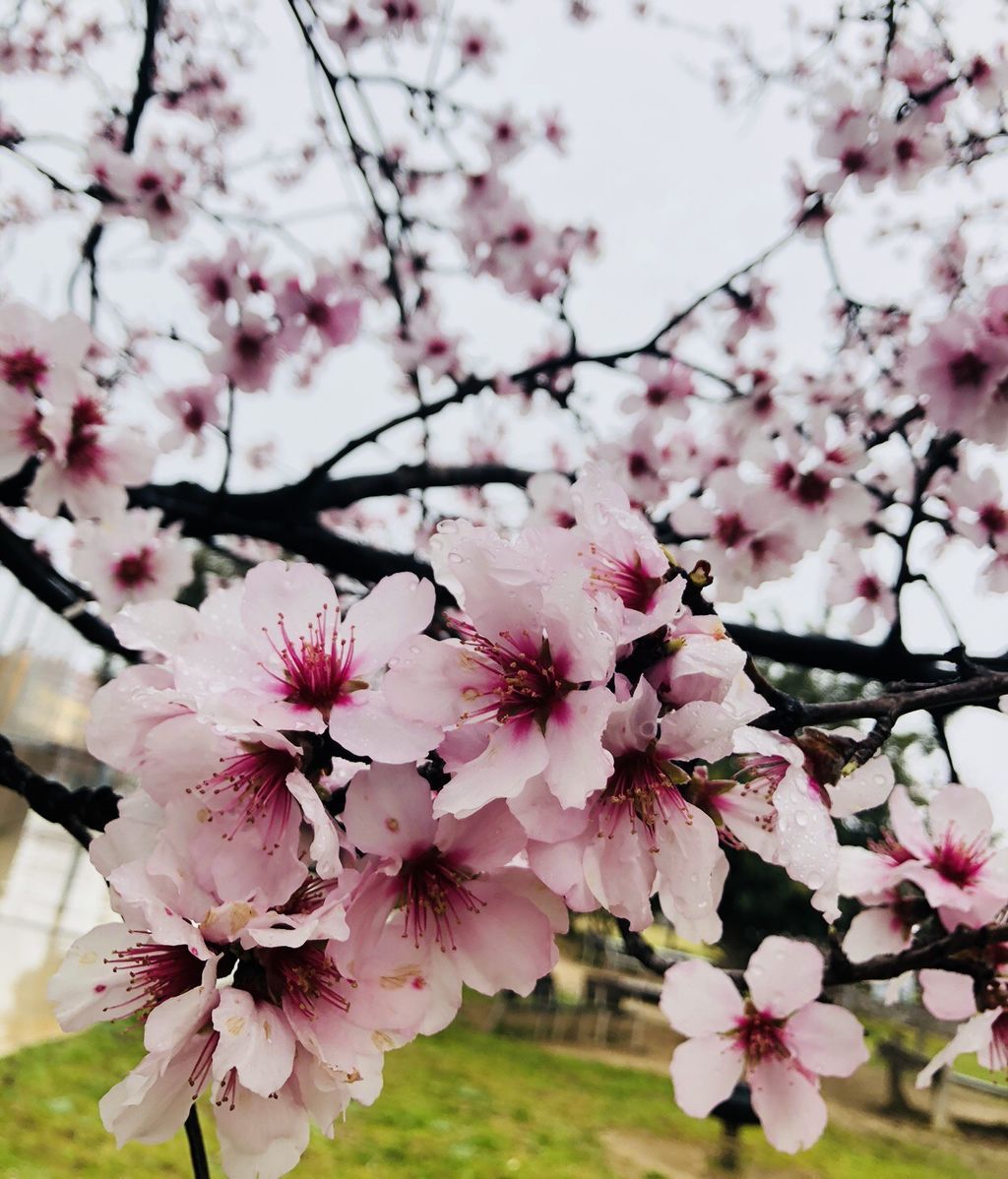 Paula Tripiana en Mataró, Barcelona