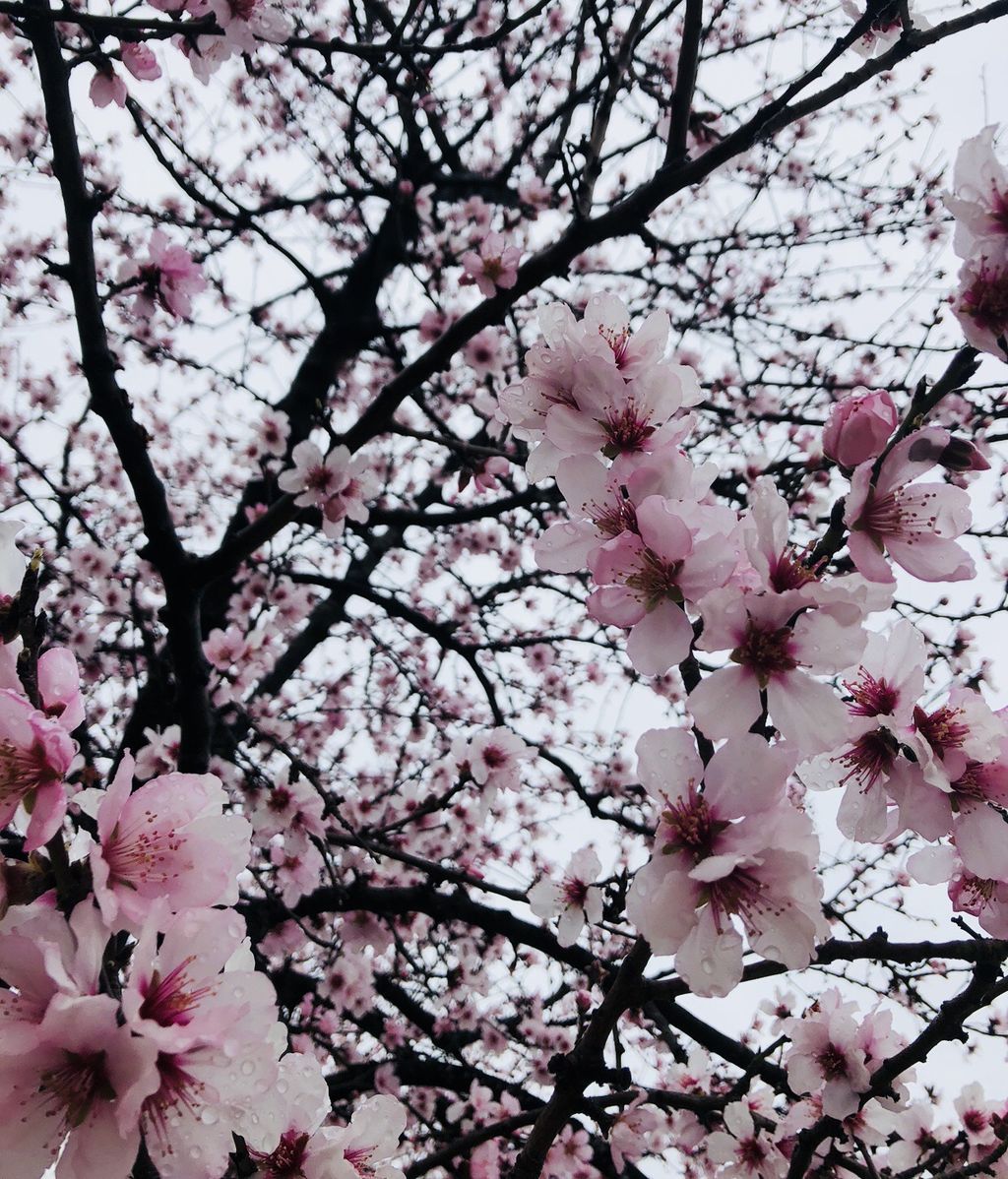 Paula Tripiana en Mataró, Barcelona