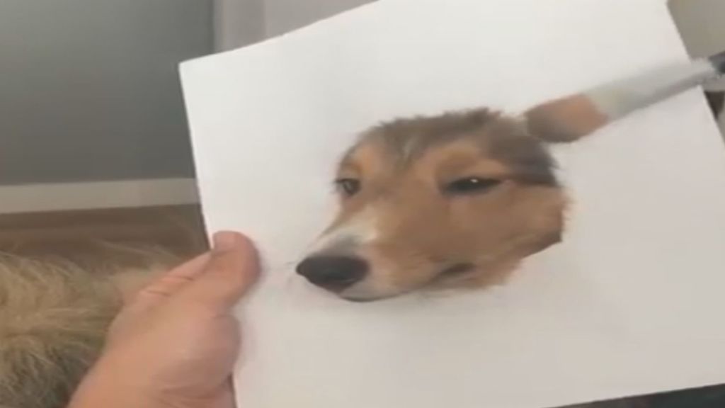 El impresionante dibujo de un perro que ha dejado boquiabierta a la Red