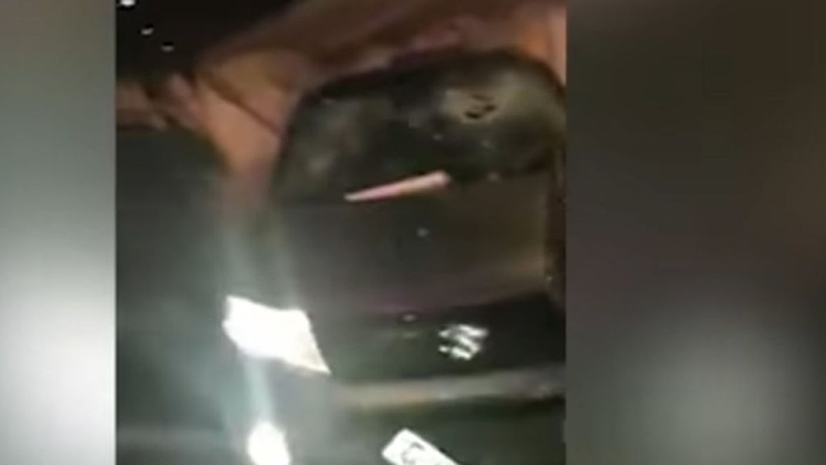 Detenido un hombre por estrellar su coche contra una discoteca y herir a 13 personas