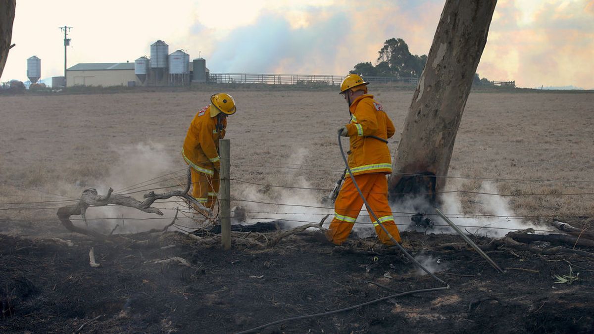 Más 40.000 hectáreas arrasadas al oeste de Australia a causa de un incendio forestal