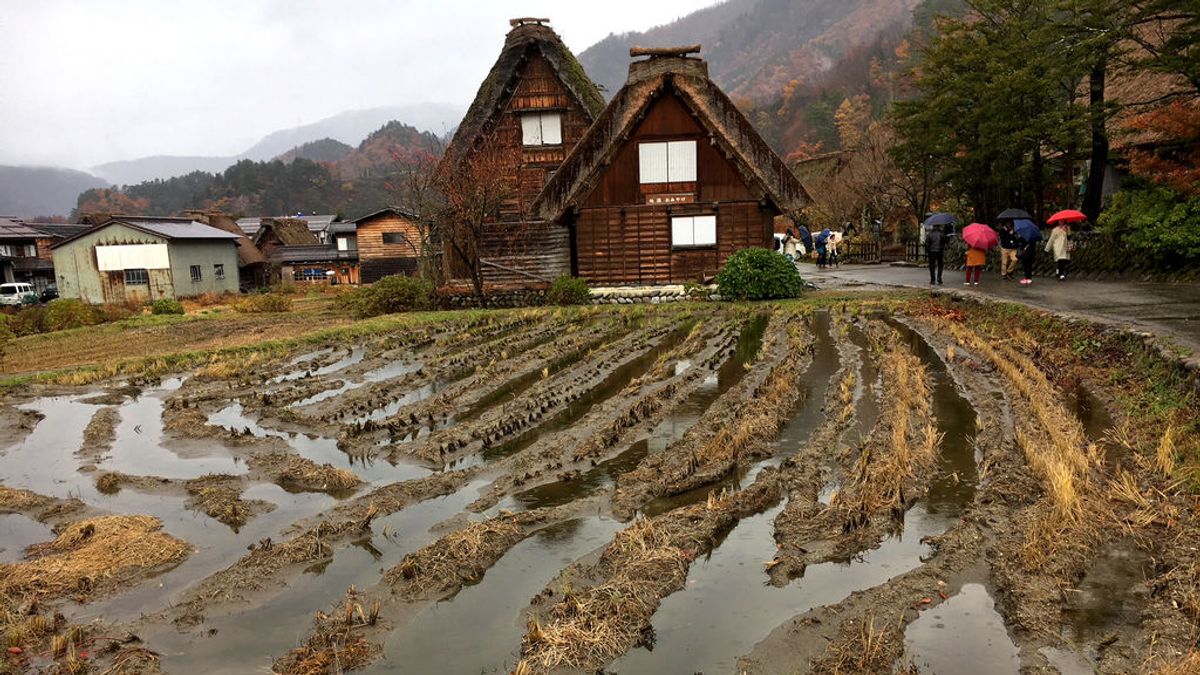 Gifu y sus ciudades detenidas en el tiempo: Shirakawago y Takayama