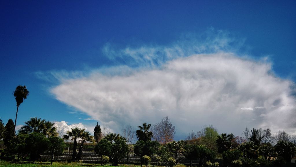 Francisco J. García de Soria Flores en Huelva