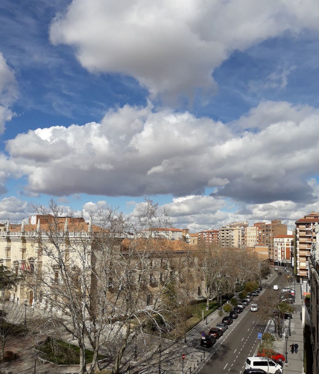 M. Ángeles de Lucas en Valladolid