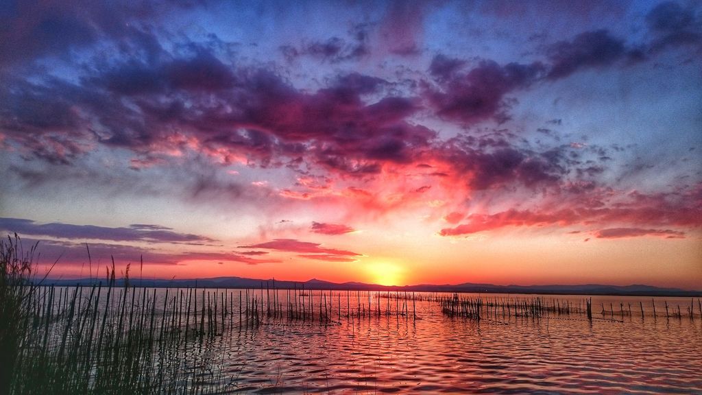 Marian Usillos en Valencia