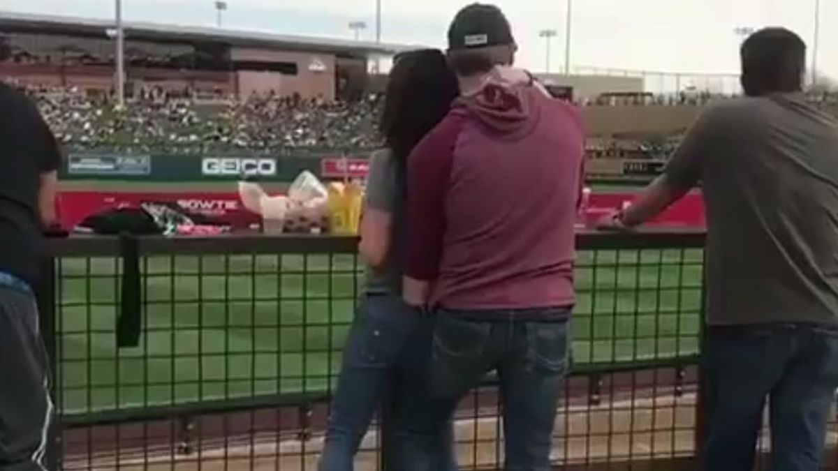 El ‘momento porno’ de una pareja en plena grada de un partido de béisbol se hace viral