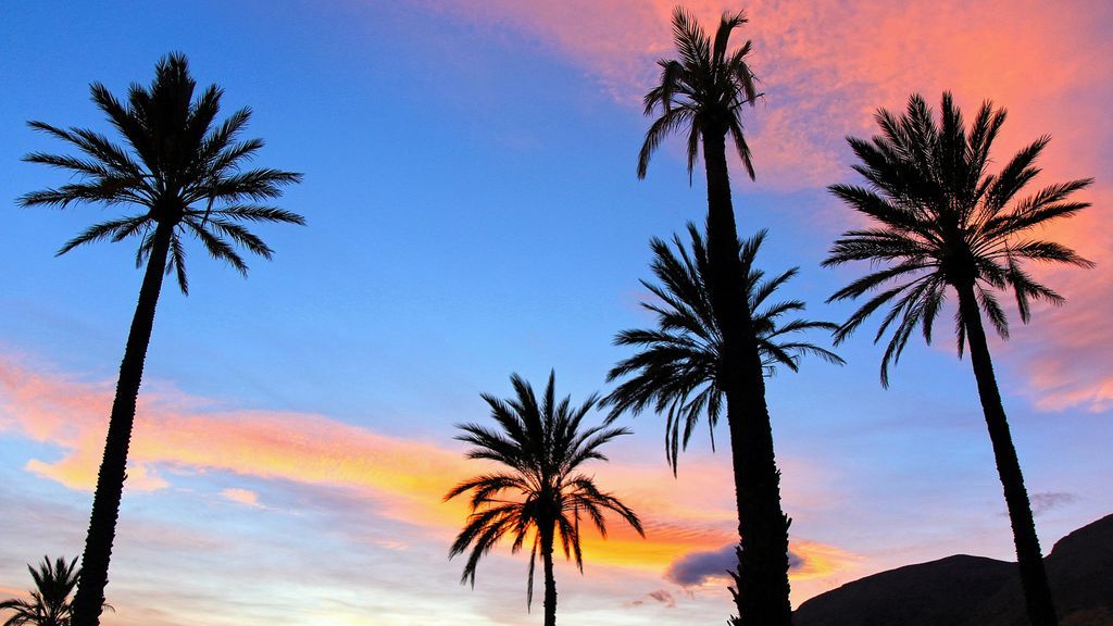 José Pinito en Almería