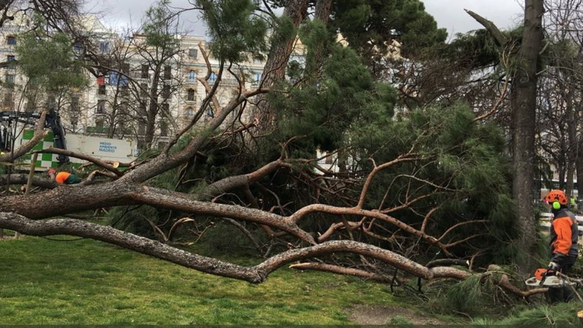 Las fuertes rachas de viento causan estragos en Madrid con graves consecuencias