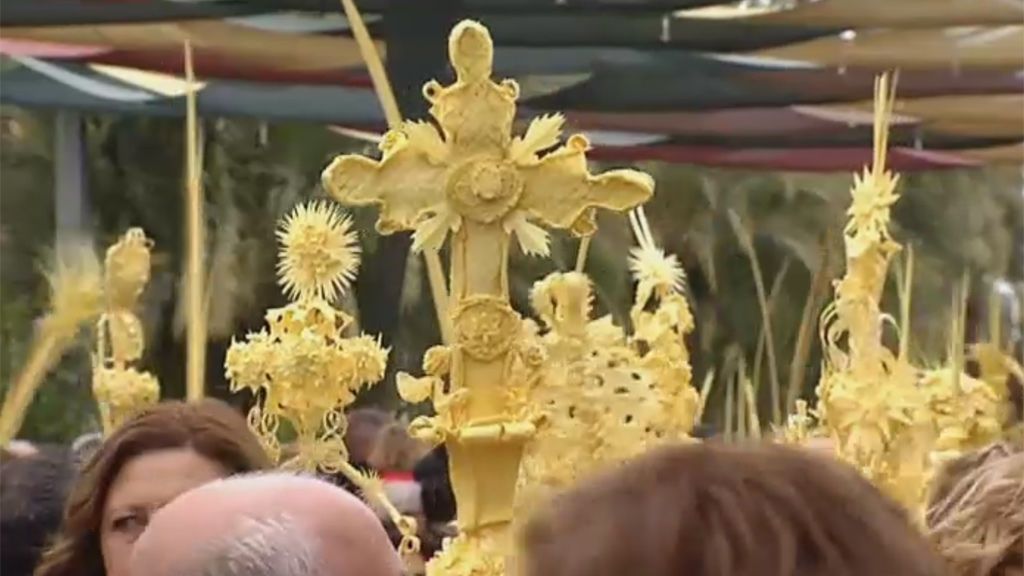 Elche exhibe las palmas blancas en el Domingo de Ramos