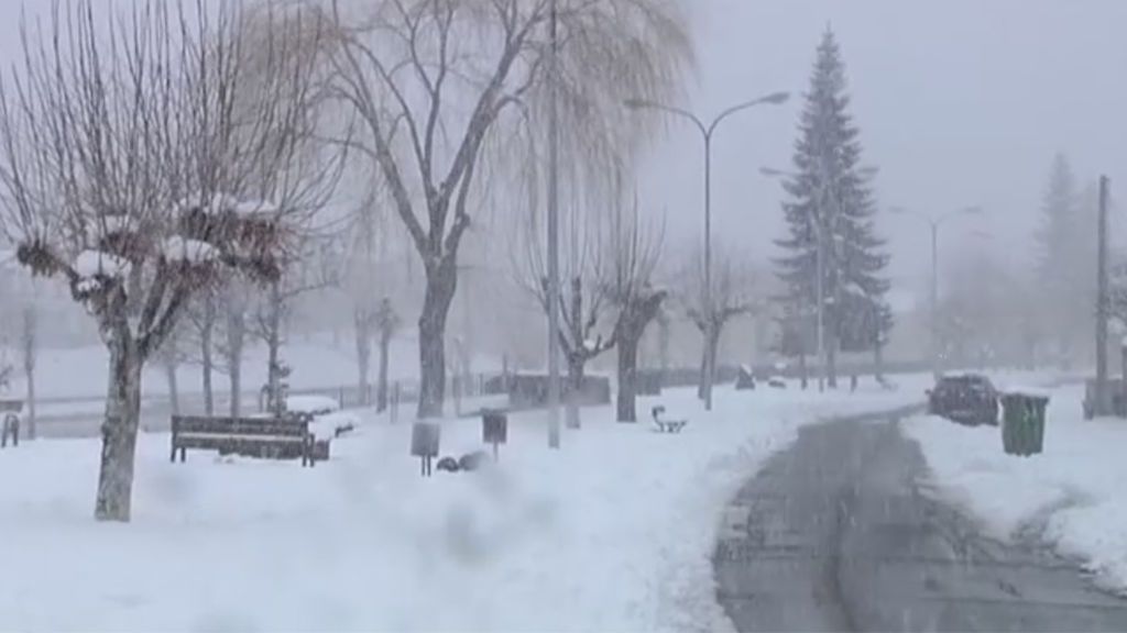 nieve