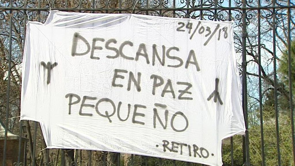 Cinco parques en Madrid permanecen cerrados mientras revisan el arbolado