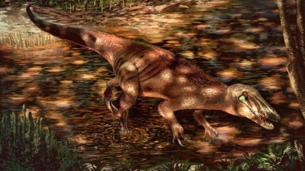 Hallan los restos fósiles de un dinosaurio carnívoro con garras y nueve metros de largo en La Patagonia