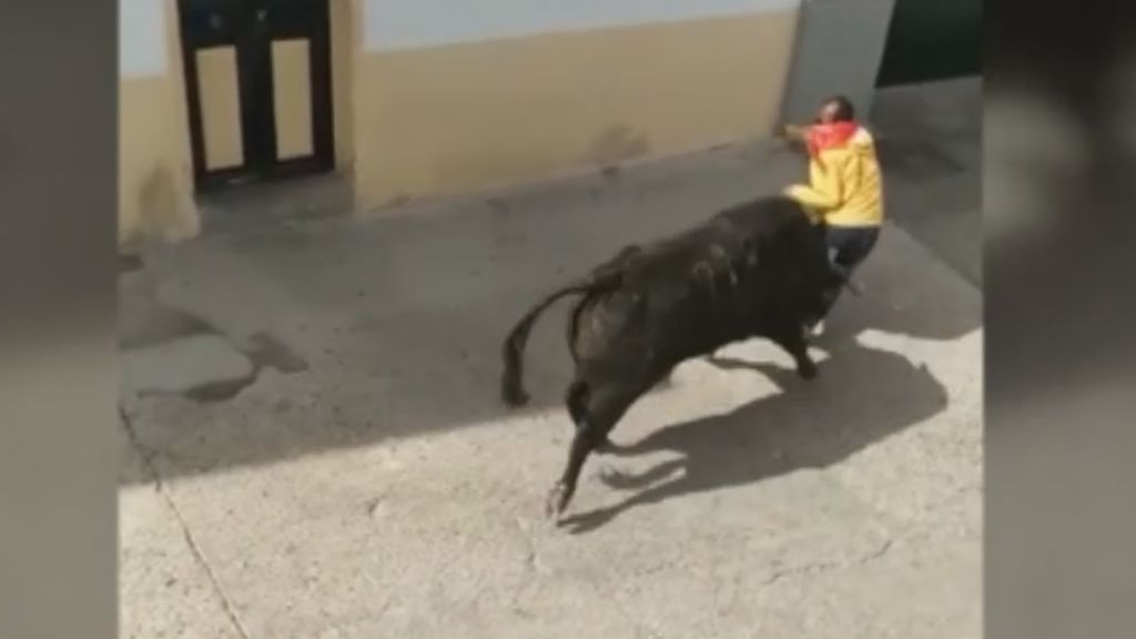 Muere un hombre tras ser corneado por un toro en Arcos de la Frontera