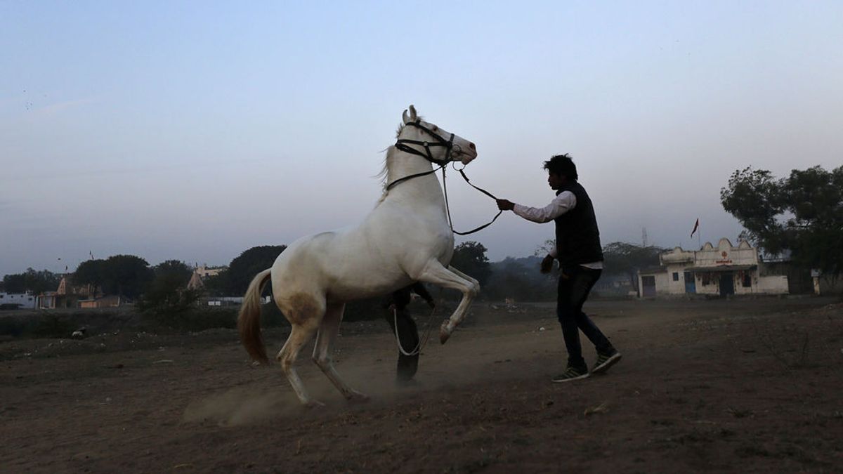 Golpean a un joven indio hasta causarle la muerte por tener un caballo