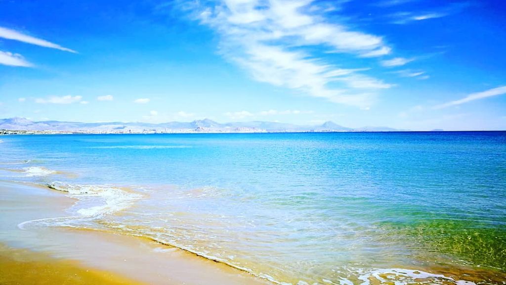 Ángel Miguel Navarro López en Los Arenales del Sol, Elche, Alicante