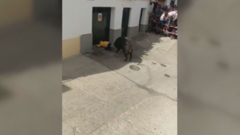 El toro que mató a un hombre en Cádiz le corneó en la pierna y le perforó un pulmón