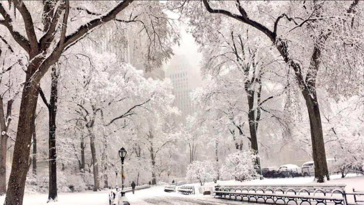 Central Park amanece cubierta de blanco en pleno mes de mayo: es la mayor nevada en 30 años
