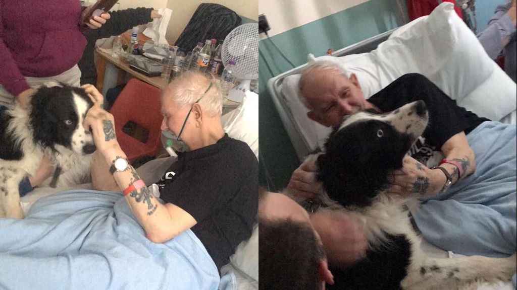El deseo de un abuelo enfermo terminal: ver por última vez a su perro