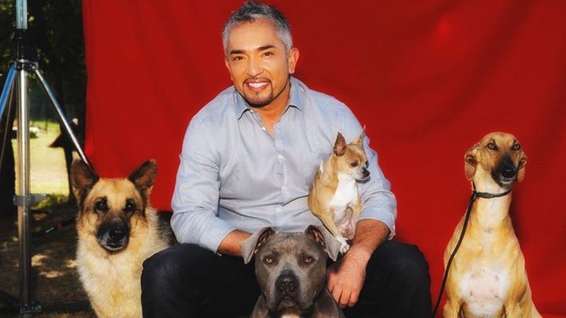 Cesar Millan Perros Que Ladran Mucho