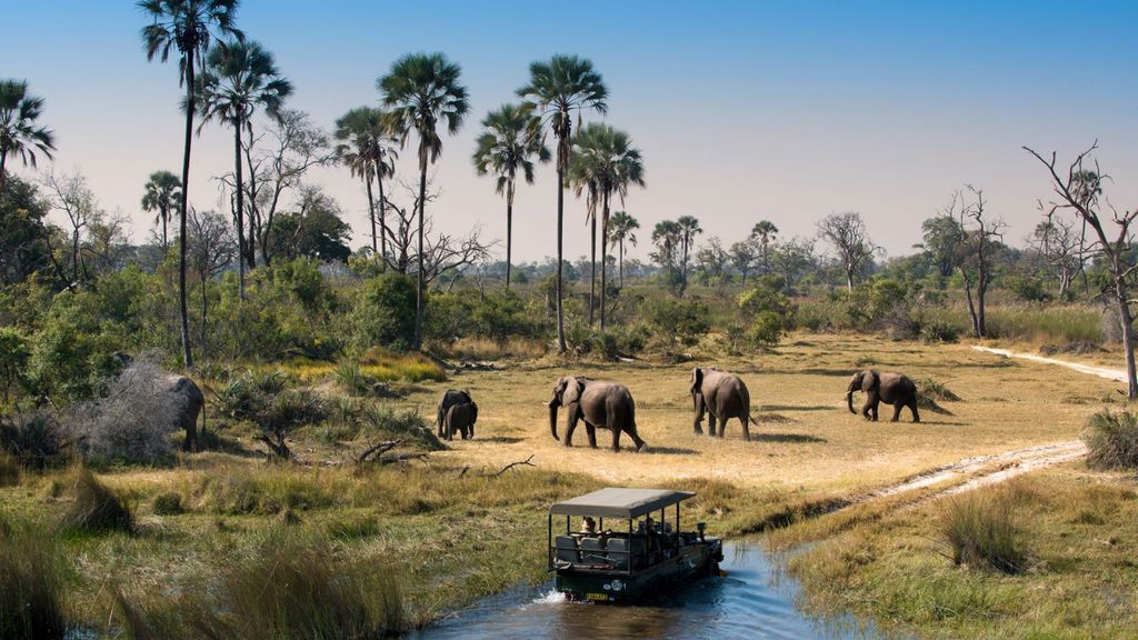 Herd-of-Elephants-walking-while-guests-cross-channel-on-a-Safari-Game-Drive-in-Botswana-1600x900