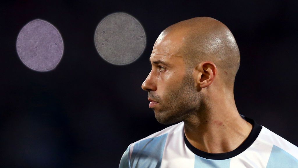 Mascherano se emociona al recordar su paso por la selección: el número '14', el himno argentino...