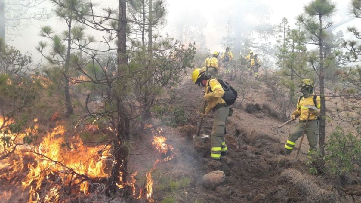 Estabilizado el incendio del municipio tinerfeño de Granadilla