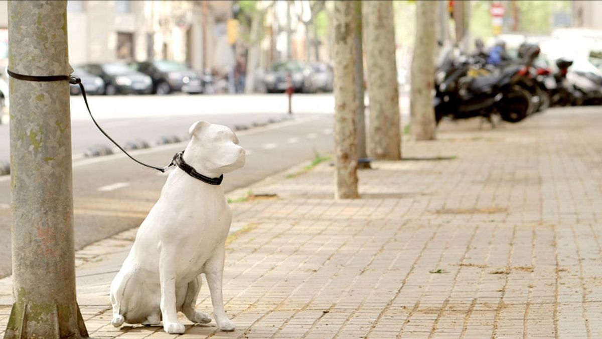 Estatuas de perros abandonados en la calle para fomentar la adopción de mascotas en Barcelona