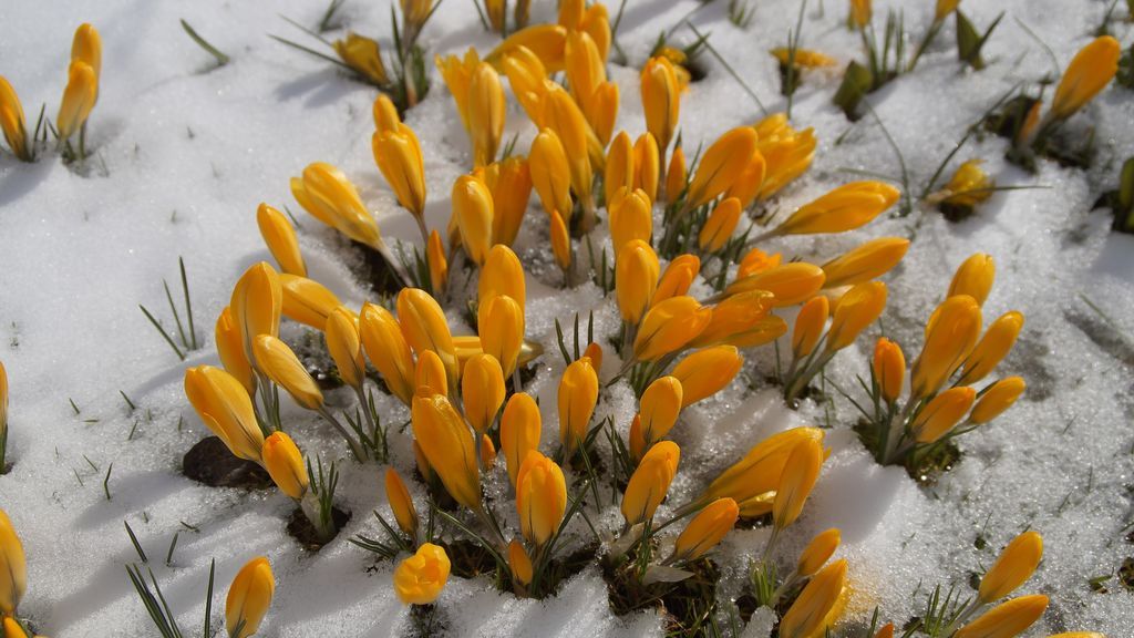 Las 4 mayores nevadas en España en un mes de abril