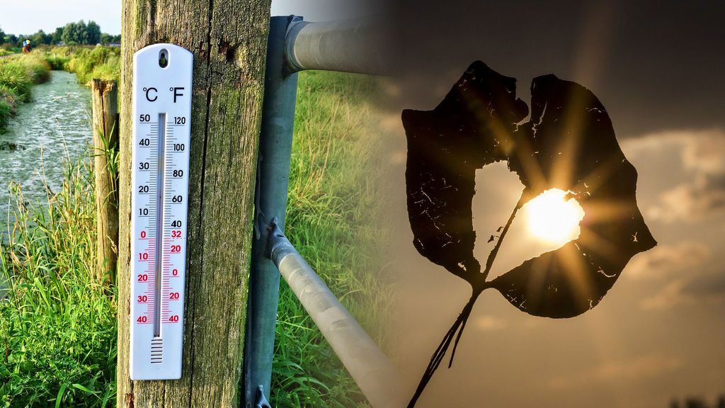 ¡Habemus tregua! La semana que viene llegamos a los 30 'gradazos'
