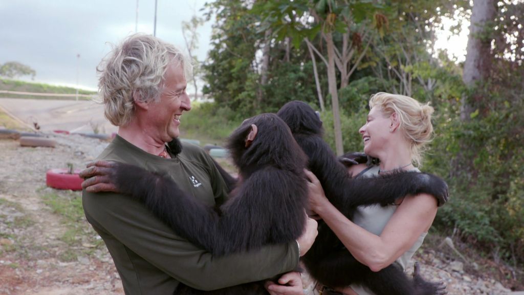 ¡Enternecedor!: Belén Rueda y Calleja visitan a unos chimpancés y ellos corren a abrazarles