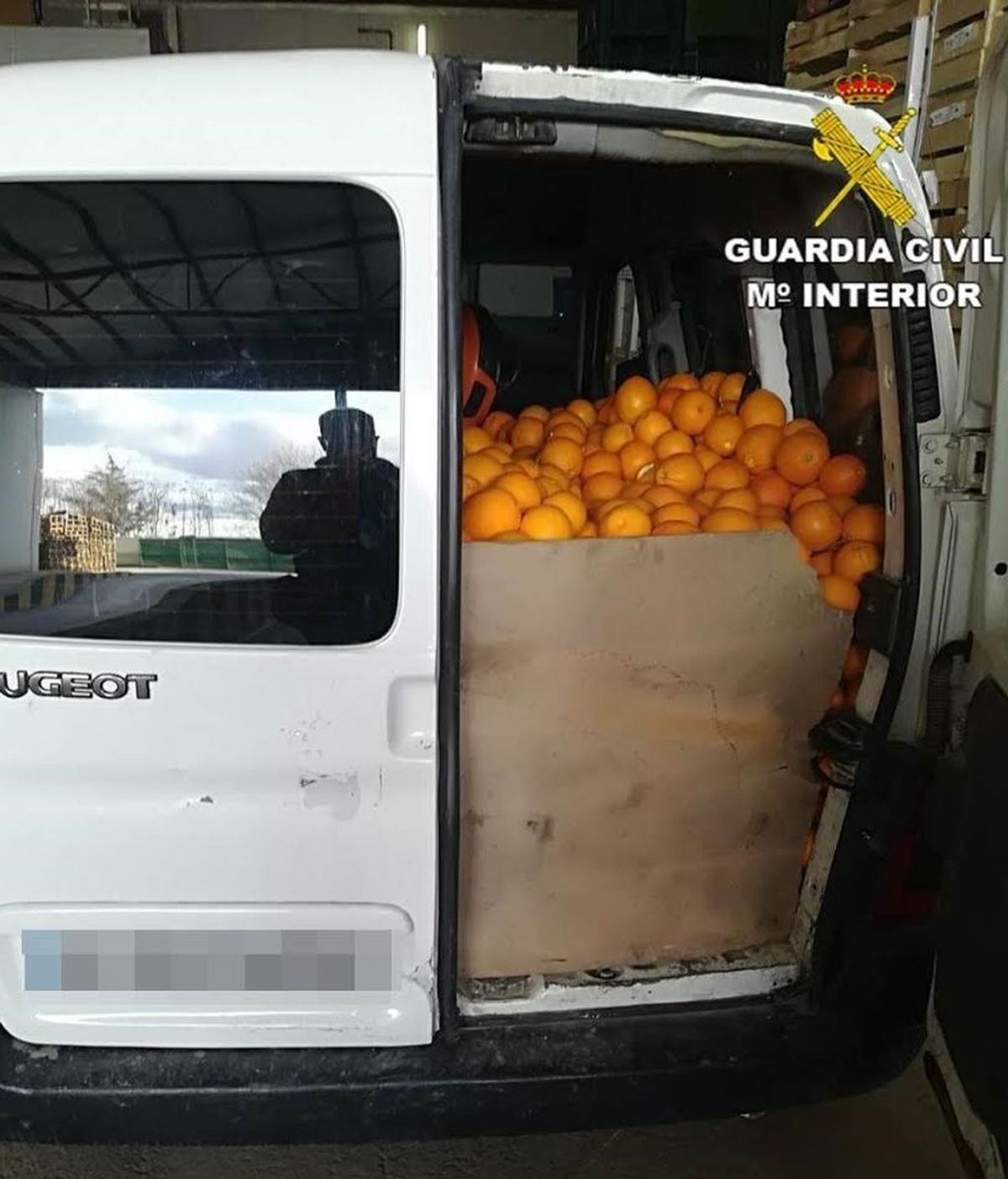 Investigados tres hombres por robar 14 toneladas de naranjas en Valencia