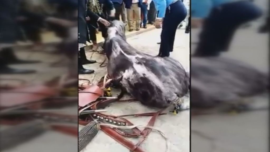 Muere un caballo en la Feria de Abril después de no comer ni beber en todo el día
