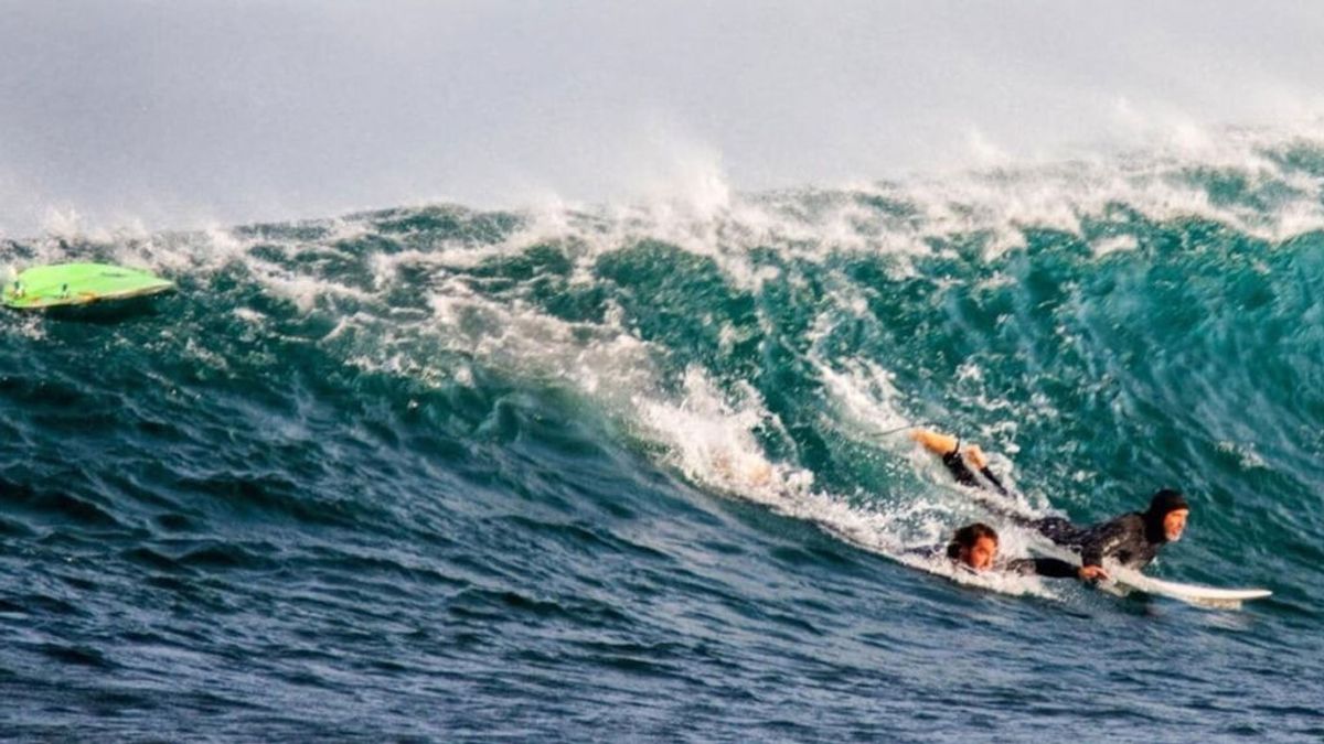 Un tiburón ataca a un surfista que se defiende a patadas  del escualo en una playa de Australia