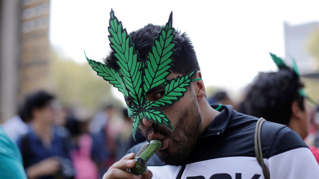 Chile celebra el 20 de abril como el día de la marihuana Chile celebra el 20 de abril como el día de la marihuana