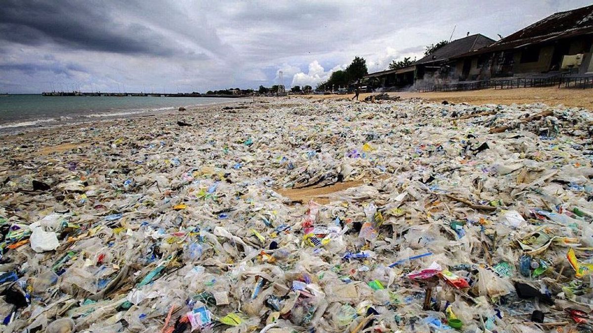 Unos 8.300 millones de toneladas de plástico circulan por el mundo
