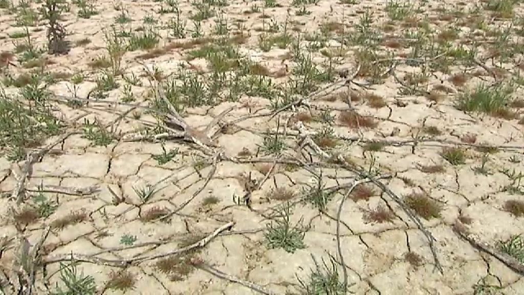 Tras las últimas lluvias continúa la sequía en el sureste peninsular