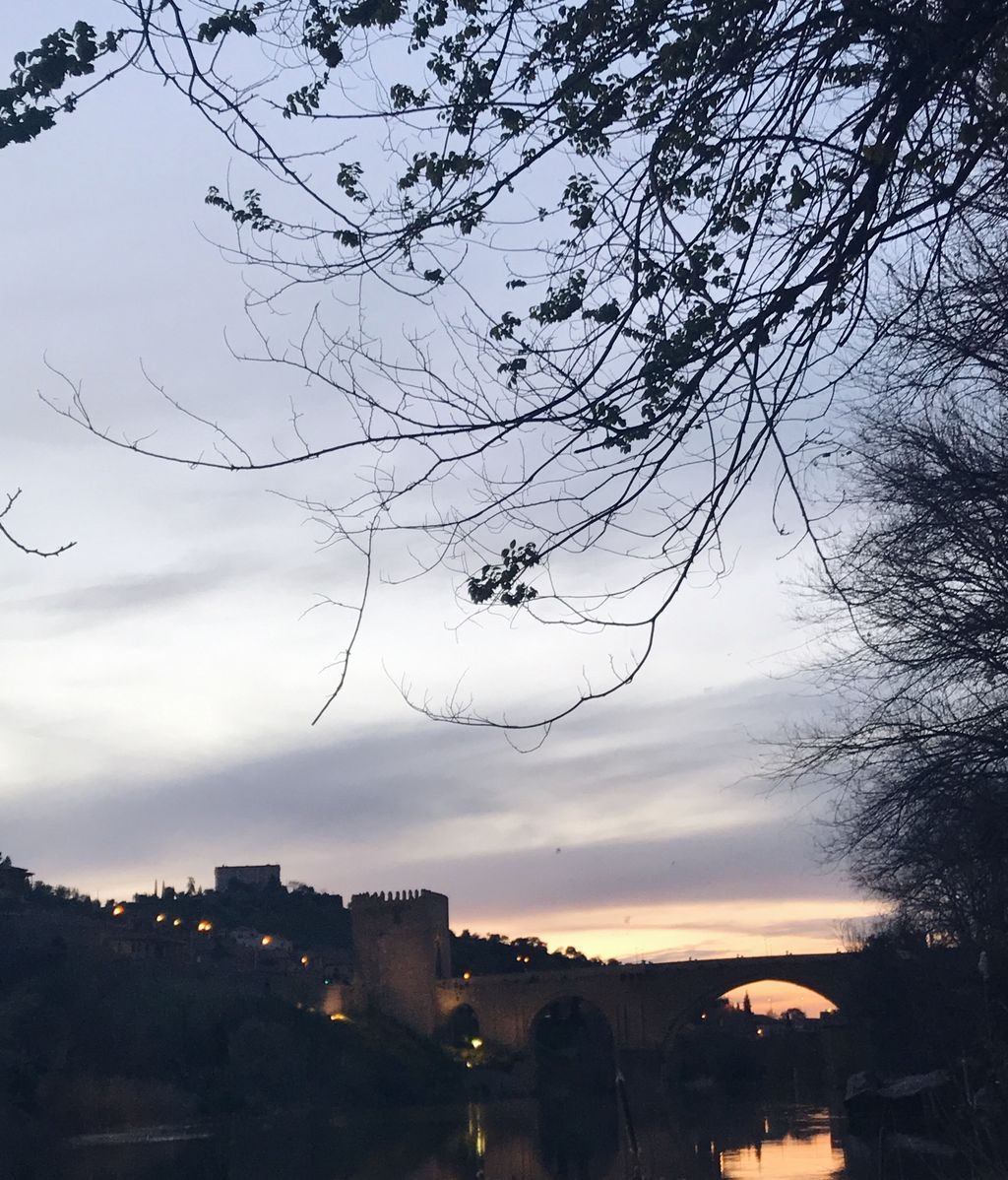 Shandelle Aguilera Euceda en Toledo