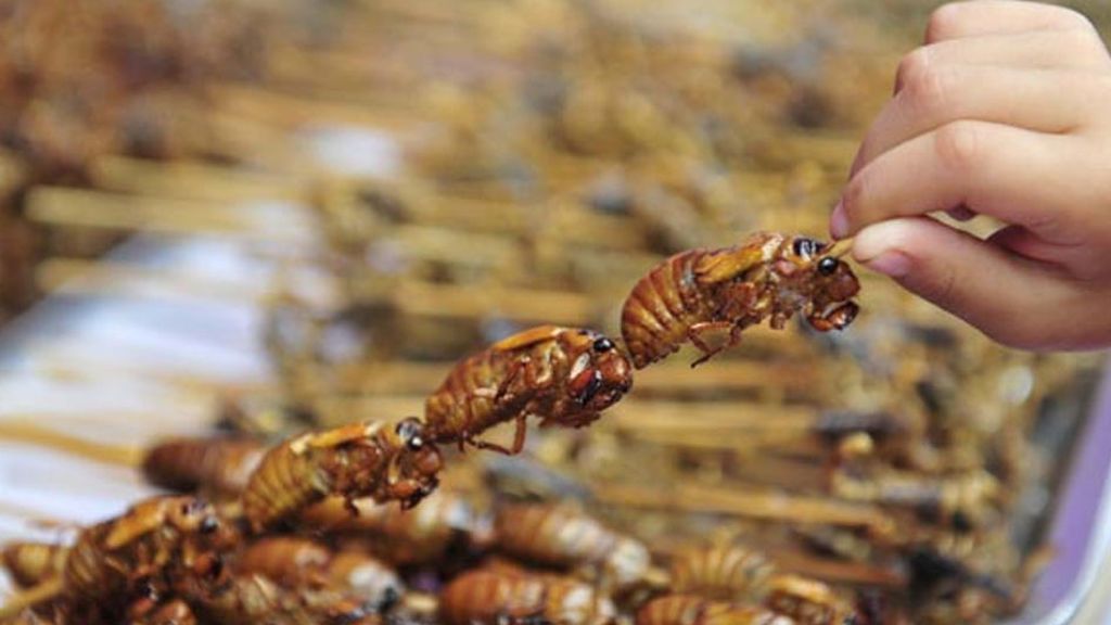 Los insectos llegan a los supermercados: ¡probamos gusanos y grillos en directo!