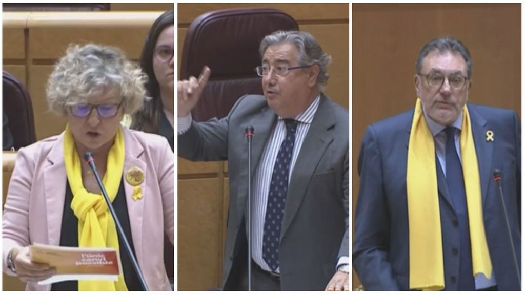 La faceta reivindicativa del color amarillo, a debate en el Senado