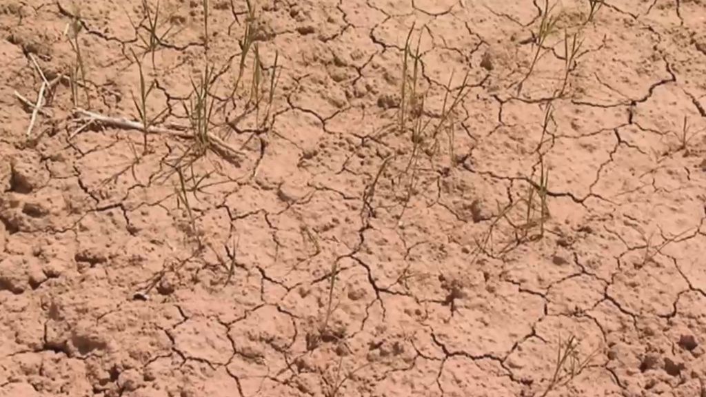 La "España seca" está más seca que nunca