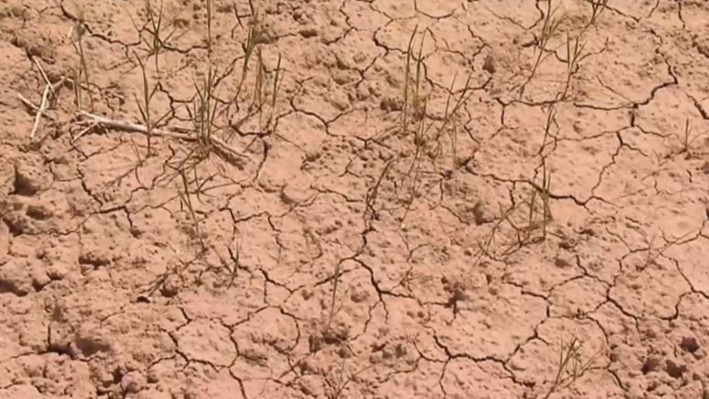 La "España seca" está más seca que nunca
