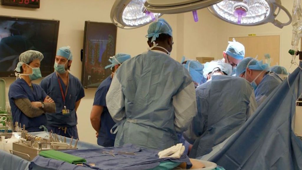 Realizan el primer trasplante total de pene y escroto del mundo en un hospital de EEUU