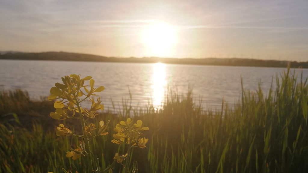 Ana Sánchez en Campillos, Málaga