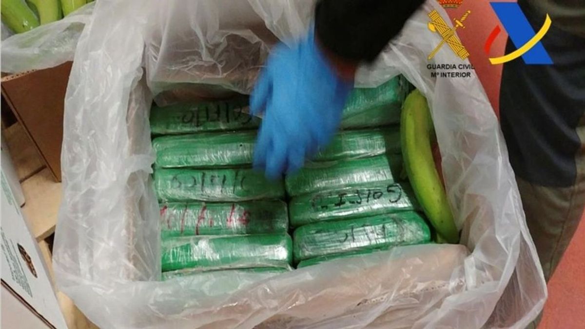 Decomisan en Algeciras el mayor alijo de cocaína incautado en un contenedor en Europa