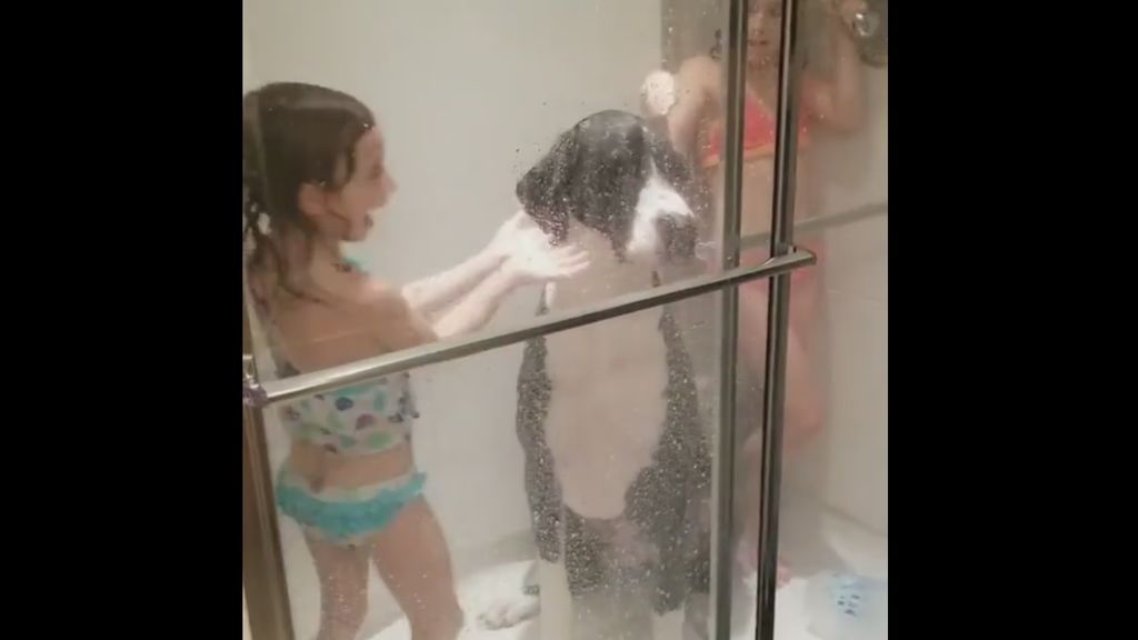 El divertido baño de dos niñas con sus dos perros