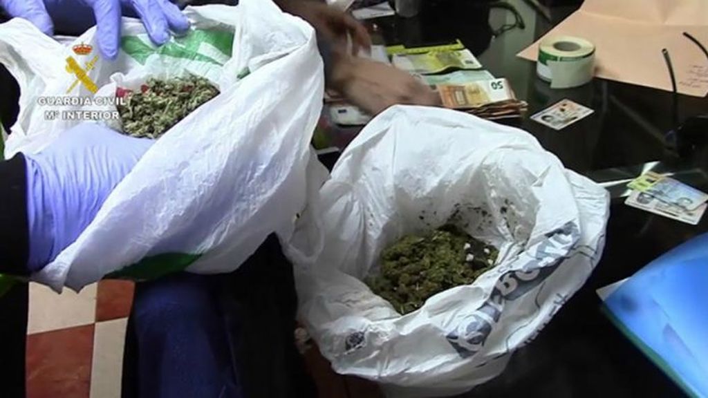 Detenidas 66 personas pertenecientes a cuatro clanes dedicados al cultivo de marihuana