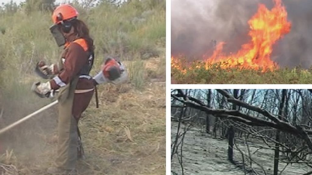 Llega el verano y los bosques siguen sucios